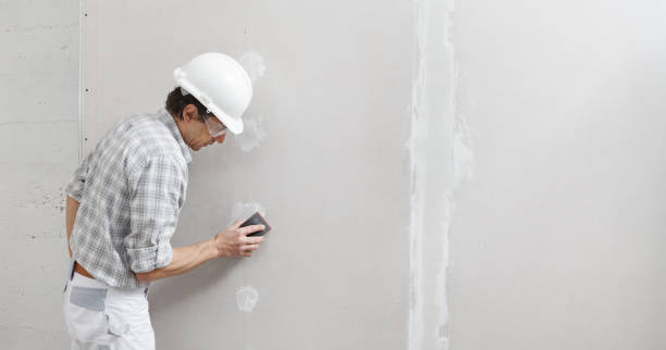 Best Fire-Damaged Drywall Repair  in St Augustine Beach, FL